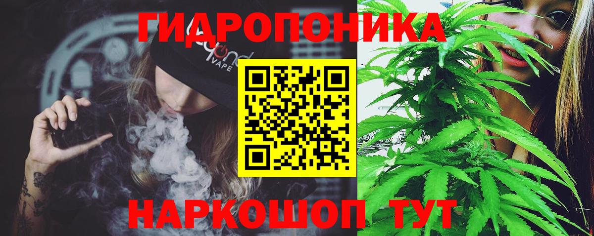 Конопля планчик Сатка